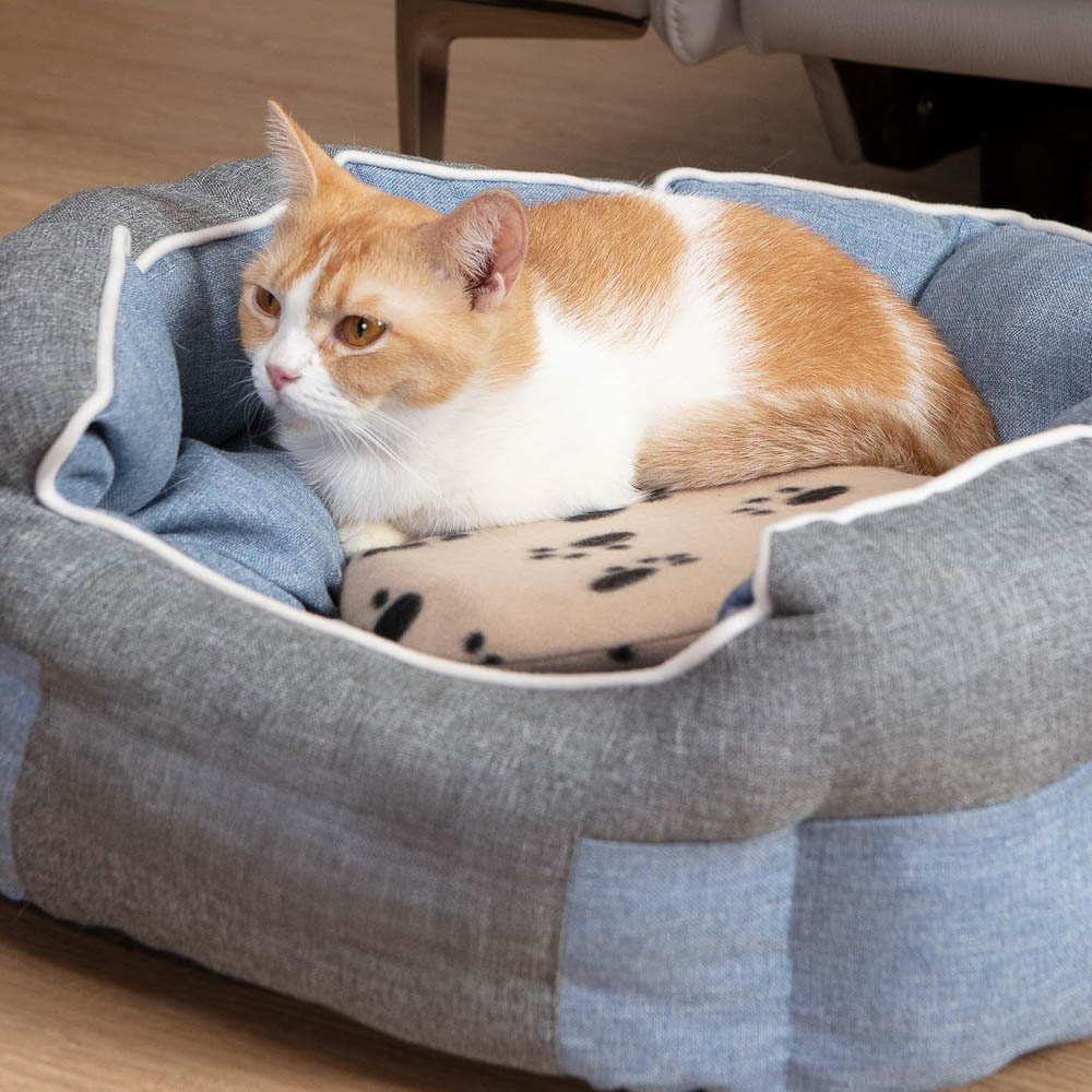 Cat Resting on SnuggleSafe Microwave Heat Pad Bed