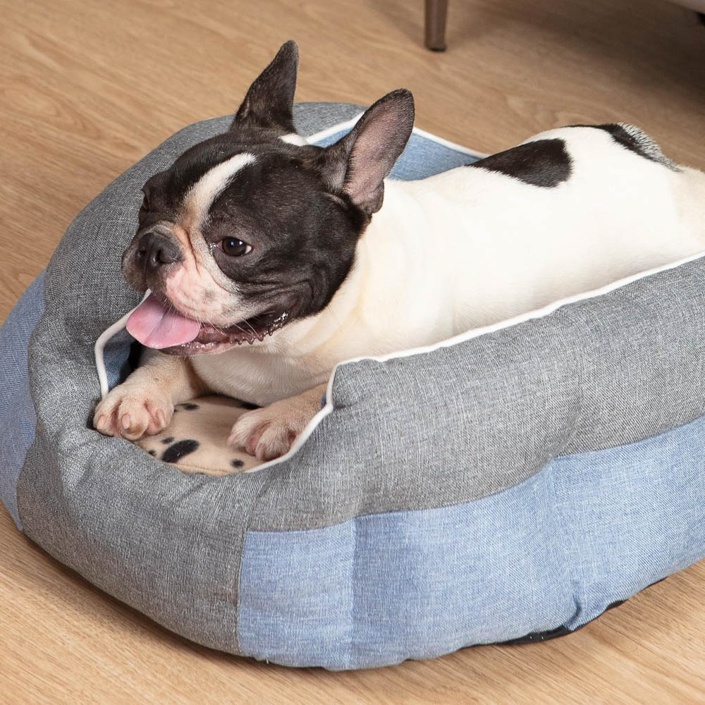 Dog Relaxing on SnuggleSafe Microwave Heat Pad