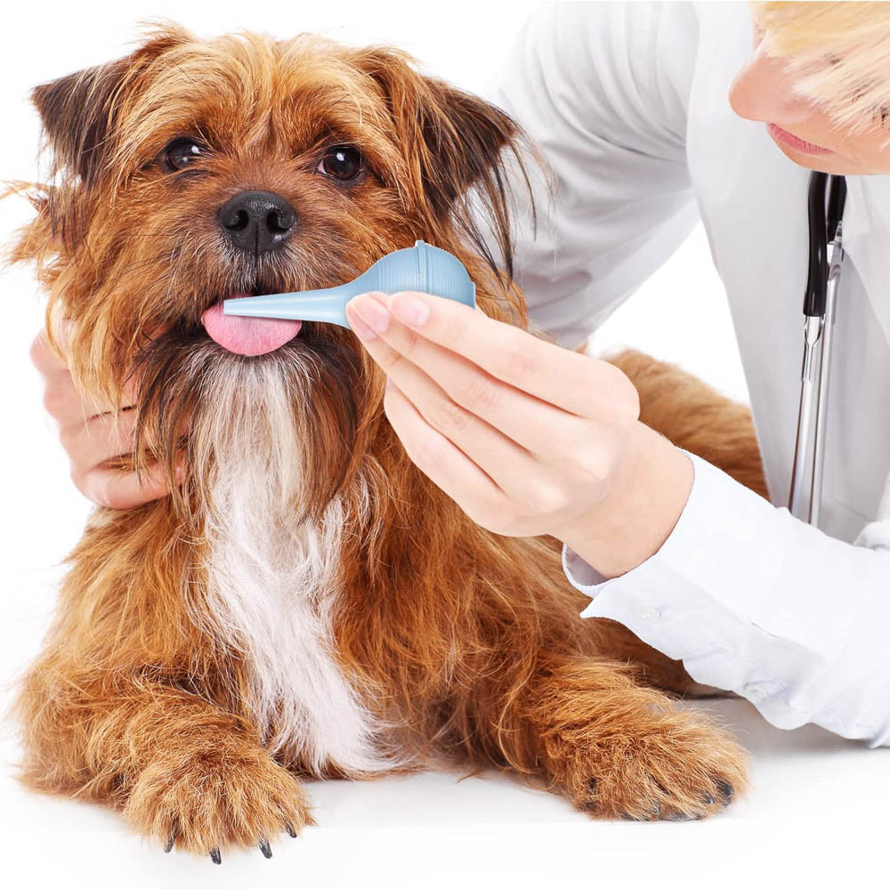 Pet Oral Syringe Feeder for Small Animals