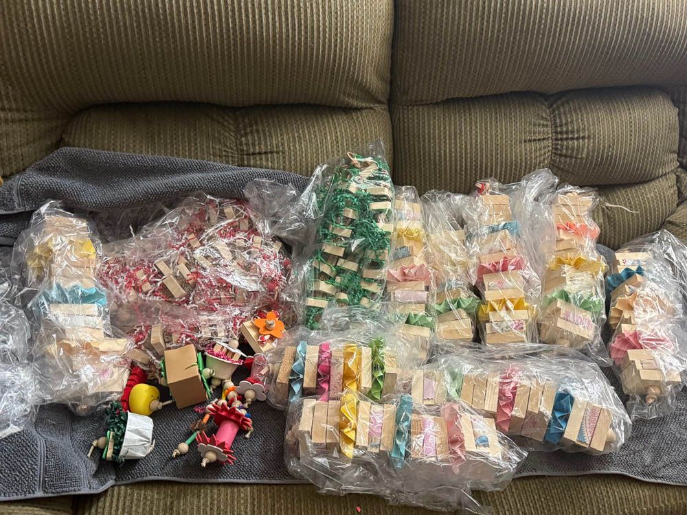 Large Handmade Parrot Toy Donation Arrival
