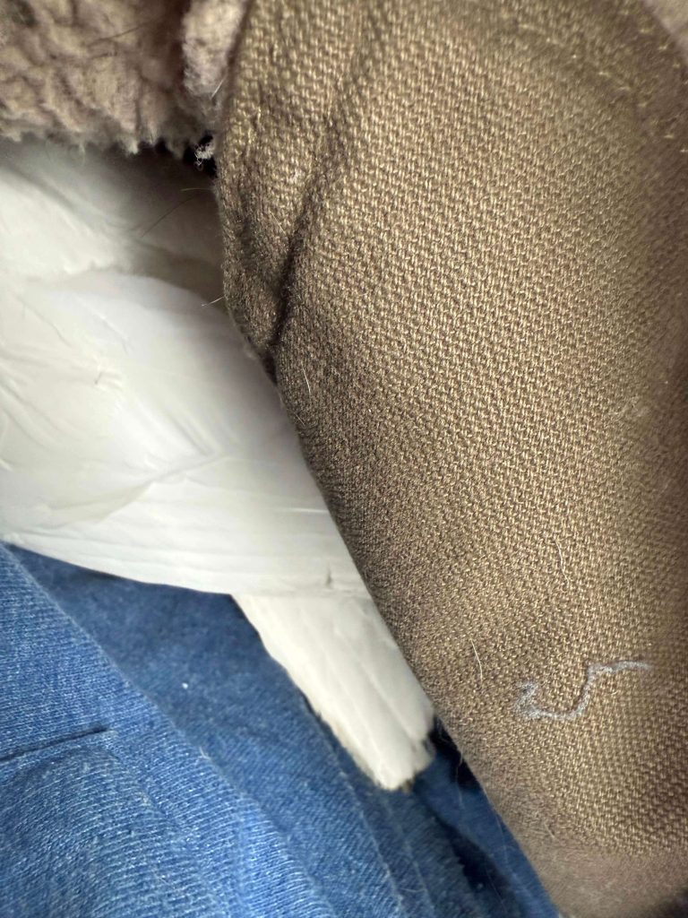White cockatiel tail feathers visible while the bird rests under a brown blanket on a person’s lap.
