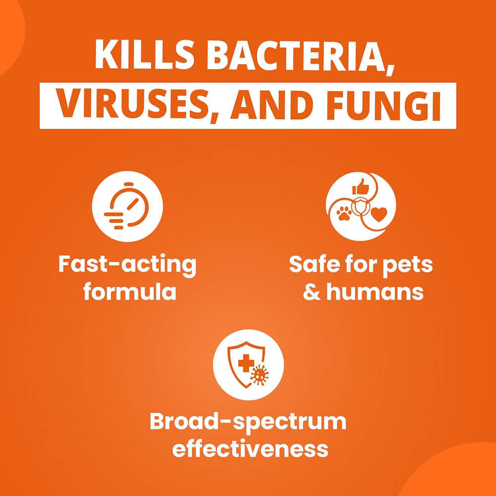 F10 SC Veterinary Disinfectant Broad-Spectrum Protection Against Bacteria, Viruses, and Fungi