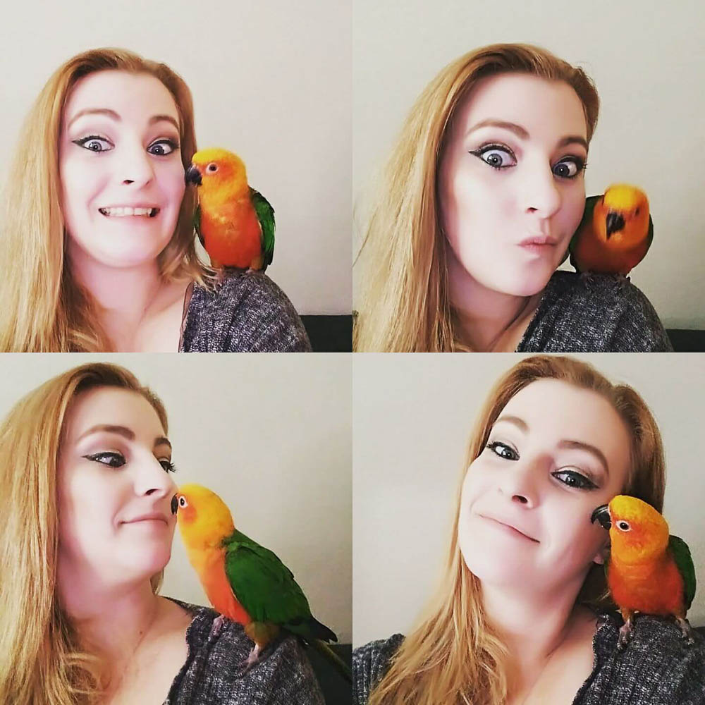 Woman Sharing Playful Moments With Sun Conure Companion Parrot