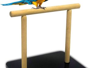 Digital Bird Perch Scale for Parrot Weight Monitoring