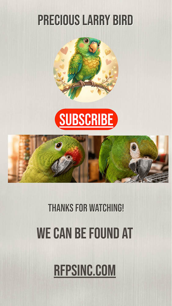 Precious Larry Bird YouTube End Screen Cover Precious Larry Bird YouTube End Screen Cover