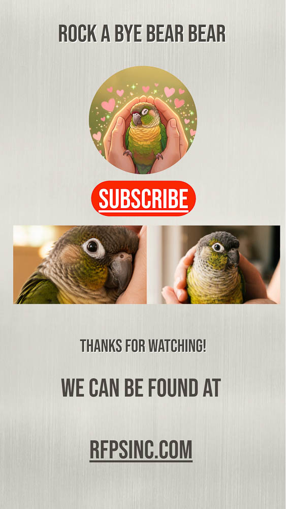 Rock A Bye Bear Bear, Green-Cheeked Conure Bedtime Moments Rock A Bye Bear Bear, Green-Cheeked Conure Bedtime Moments