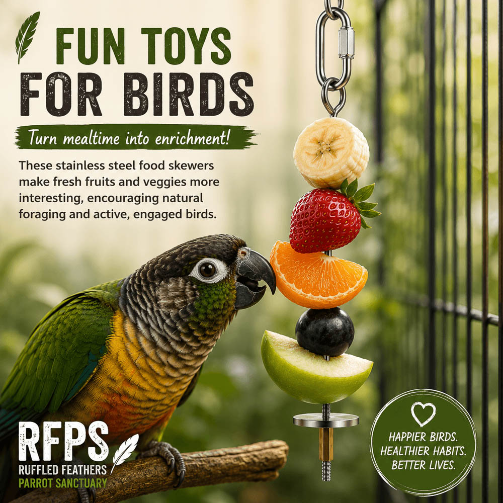 Stainless Steel Bird Food Skewer with Fresh Fruit Enrichment for Parrots