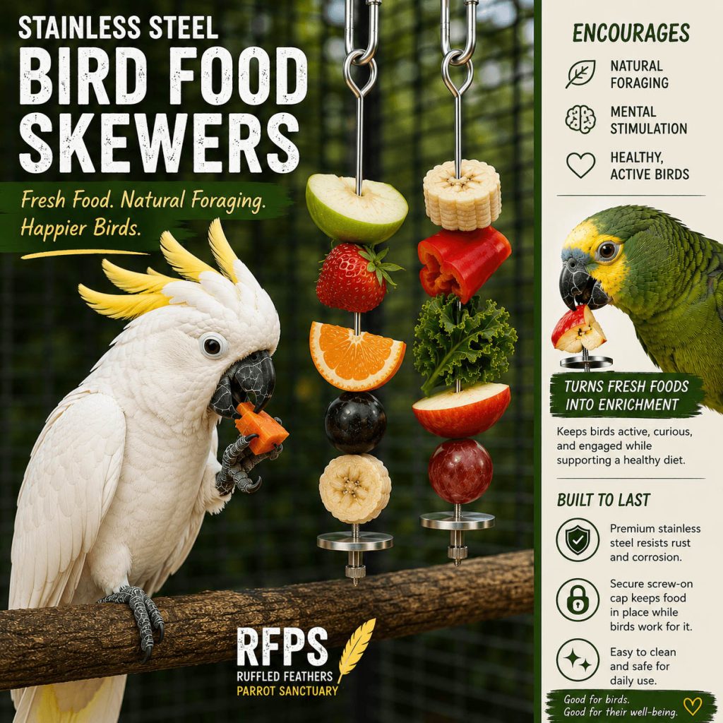 Stainless Steel Bird Food Skewers for Parrots, Product Lifestyle Image