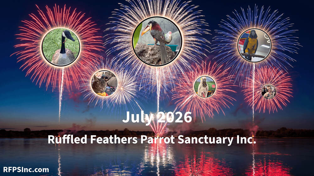 July 2026 Ruffled Feathers Parrot Sanctuary Cover Image