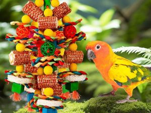 Colorful Corn Cob Enrichment Toy With Sun Conure