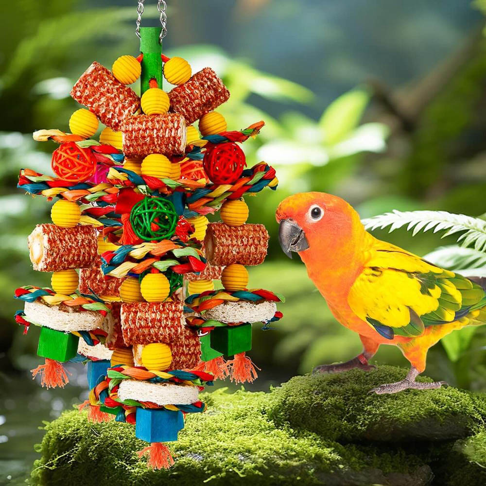 Colorful Corn Cob Enrichment Toy With Sun Conure