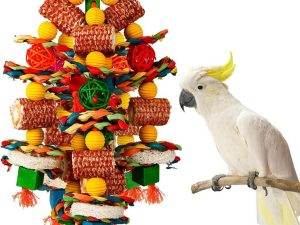 Colorful Corn Cob Bird Toy for Large Parrots
