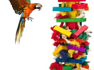 Colorful Wooden and Rope Parrot Enrichment Toy