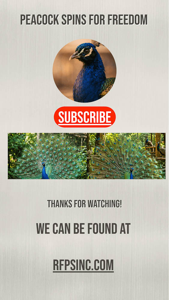 Peacock Spins for Freedom Video Cover Peacock Spins for Freedom Video Cover