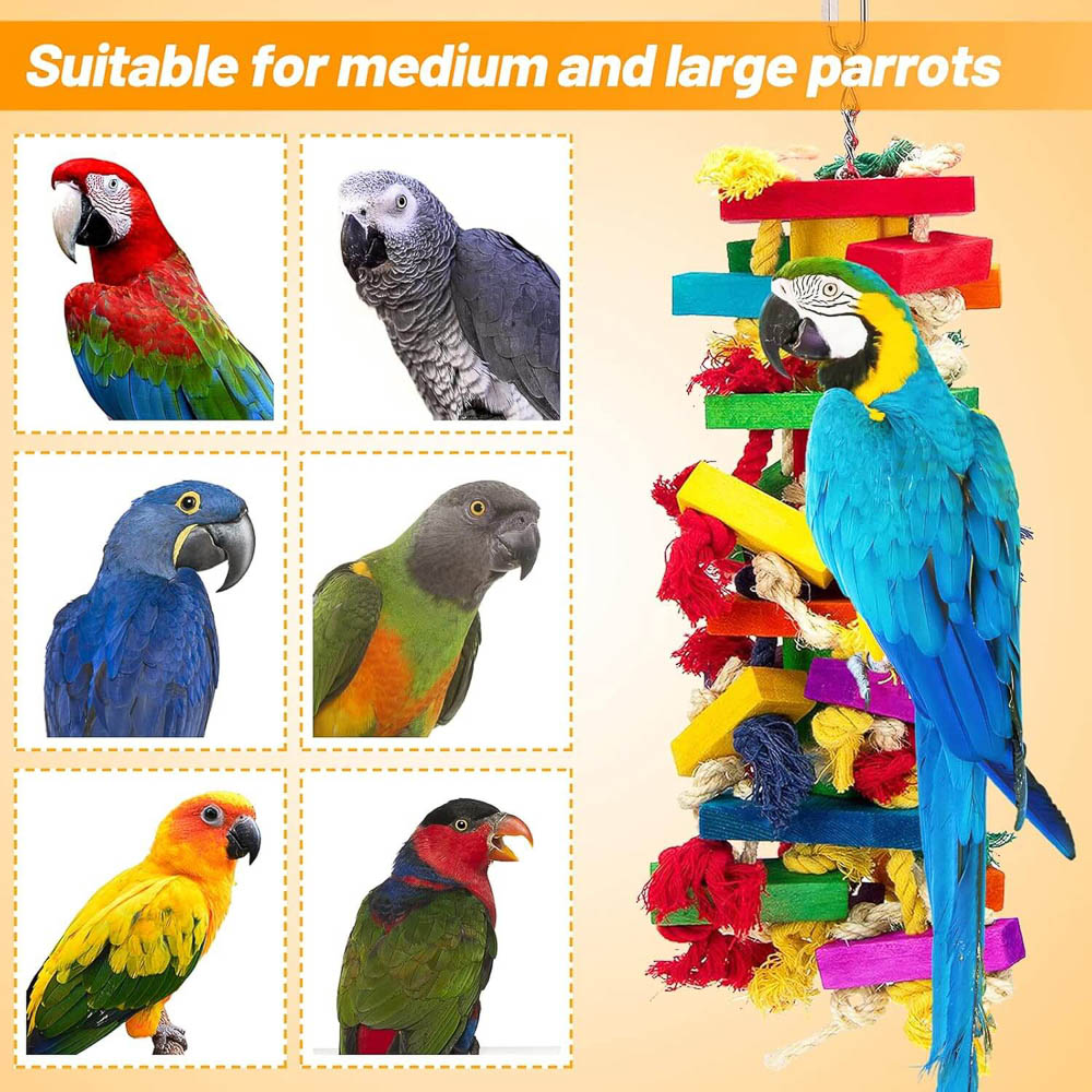 Colorful Wooden Enrichment Toy for Medium and Large Parrots