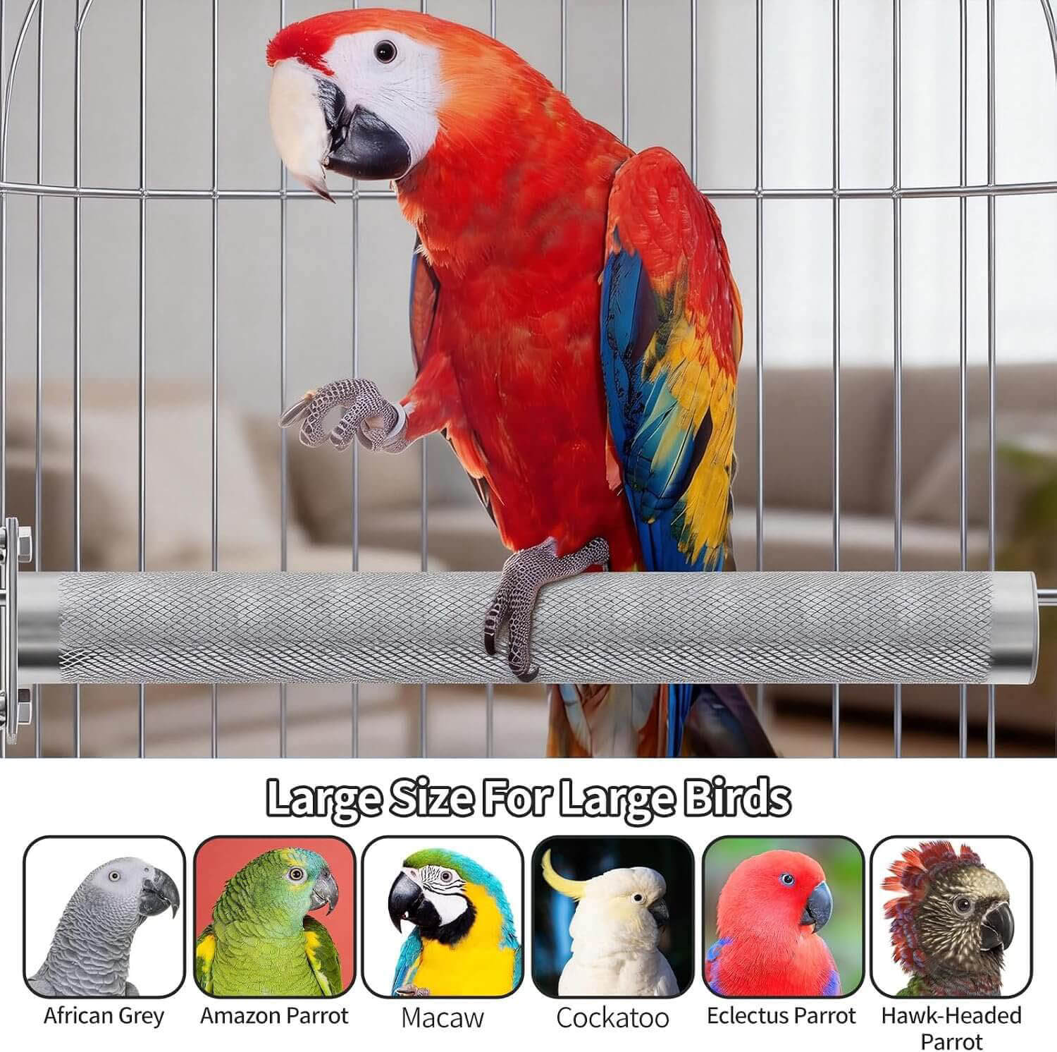 Large Stainless Steel Parrot Perch for Macaws and Large Parrots