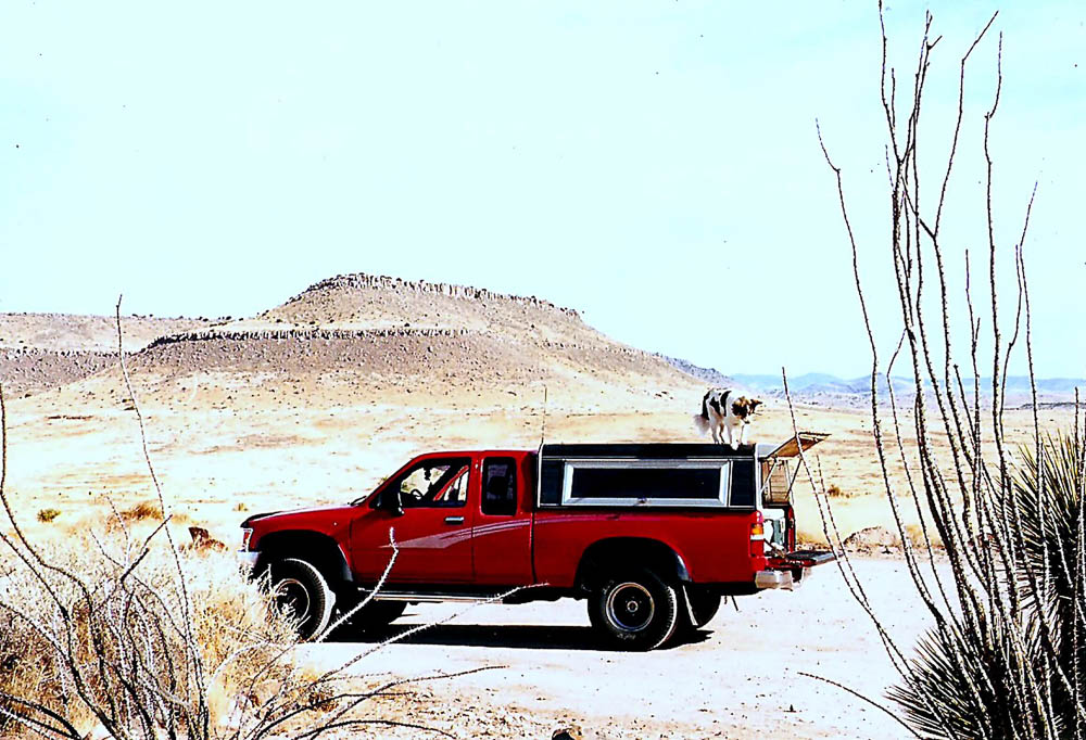 Red Truck in Desert Landscape with Dog Red Truck in Desert Landscape with Dog
