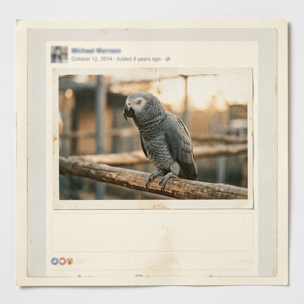 Archive image with no surviving caption