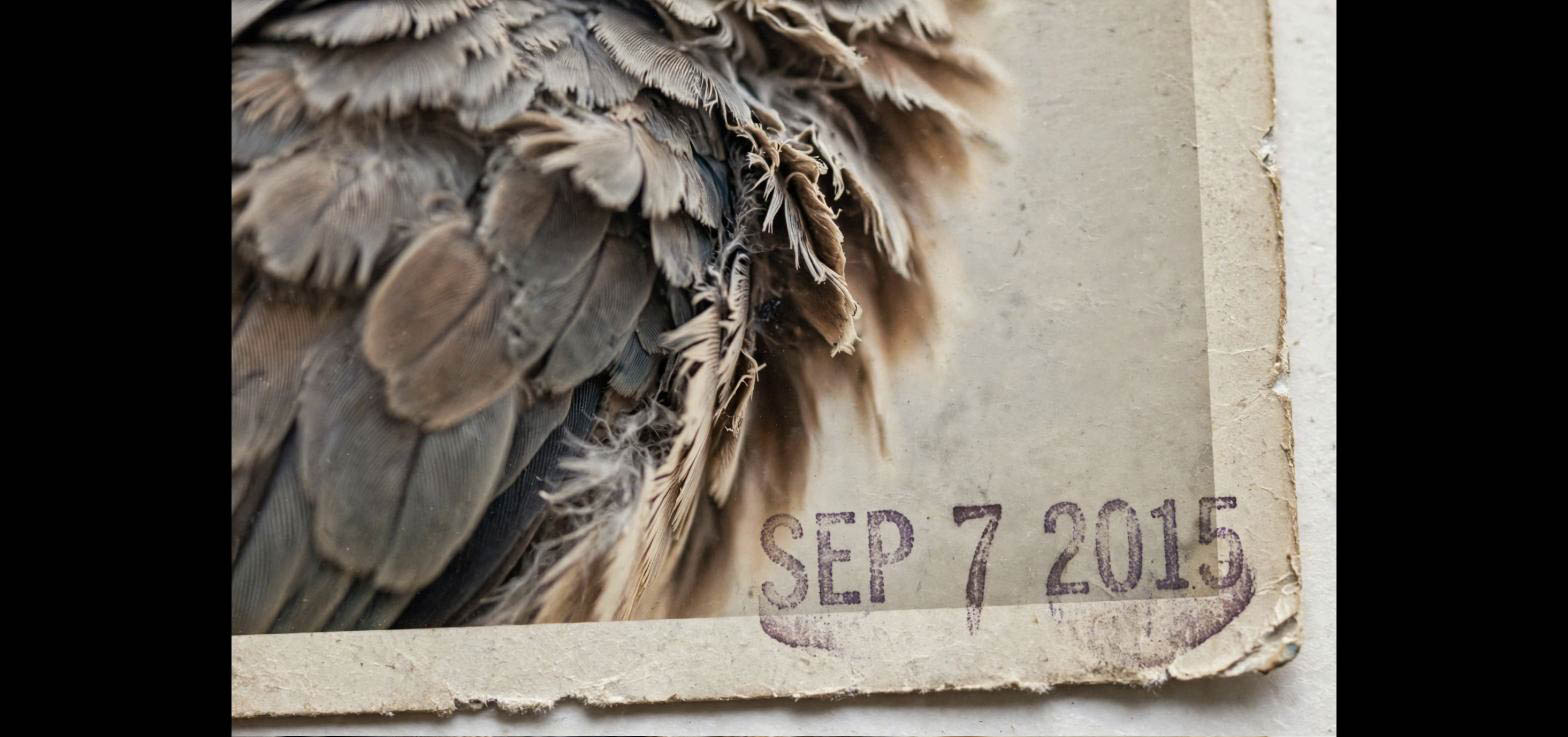 Archive image with date stamp