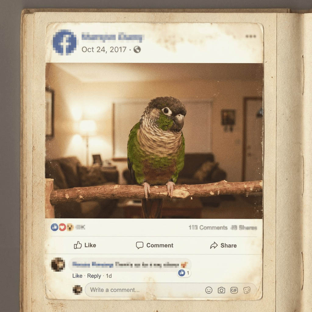 Archival-style panel representing the September 7, 2017 contest posts