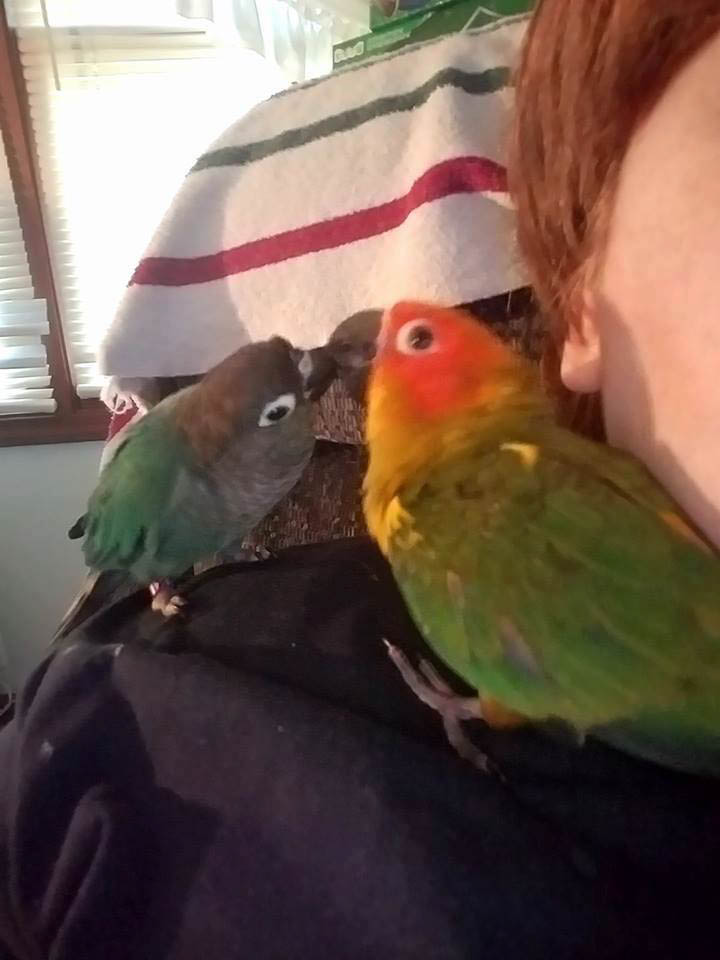 Killian and Pepe, 2017 contest entry