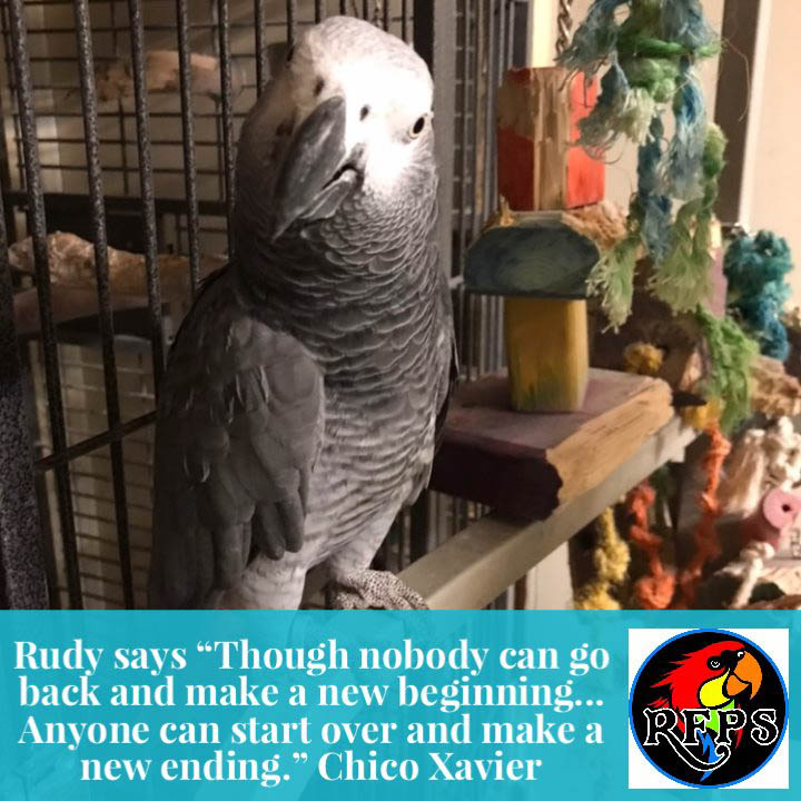 Rudy, September 7, 2019